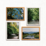 緑 都<br />
淡雪 Awayuki