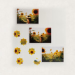 yellow  labyrinth<br/>
淡雪 Awayuki