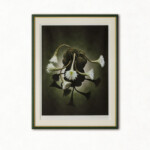 沈 黙<br />
榧野 雅浩 Masahiro kayano<br />
心の中にずーっと溜めていた思いを
一番深い沈黙の中から自然に生み出されるまで
じっと待つのも良いだろう