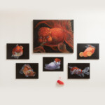 情熱的に生産<br />
鹿ろく Shikaroku