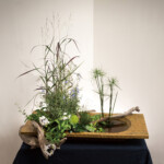 生けるもののオアシス<Br />
阪上 泰子 Yasuko Sakaue<Br />