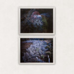 パープルナモノ<br />
平   寿夫 Hisao Taira<br />
自然界にある、パープルな風景
人工物でなく、花でなく、夕日でなく、パープルな風景。
見つけました。