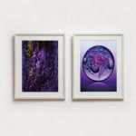 Purple COSMOS<br />
耕 章彦 Akihiko Tagayasu<br />
紫色のCOSMOS(宇宙)を表現しました。どこにでも小さなCOSMOSは宿っていると思います。
私達の心の中にも、無限の可能性を発揮するCOSMOSがあるのかもしれません。
あなたのCOSMOSは、どういう色(本音)ですか?