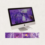 せんしばんこうひゃっきやこう(千紫万紅・百鬼夜行)<br />
西 晃司 Koji Nishi<br />
花、華やかな、妖かし達のフェス