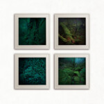 静寂の森の中で<br />
樋川 智昭 Tomoaki Hikawa<br />
森の中に入ると自我が薄れ、根っこの部分では
全てのものが繋がって影響しあっているんだと感じさせてくれる。
だから森が好きだ。