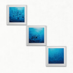 Scratching Foot/大海での足掻き<Br />
樋川 雄飛 Yuuhi Hikawa<Br />