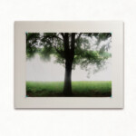 緑・彩す(あやなす)<br />
横山 進 Susumu Yokoyama<br />
新緑の頃、近くの公園で撮った一枚です。
A1サイズは、はじめての経験で満足しています。