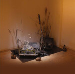 漆黒の闇、光と再生<br/>
阪上 泰子 Yasuko Sakaue<br/>
生を受けたものは、全て地にかえり、一筋の光で誘い、地から命を育む。
風音とともに草花からのメッセージを聞く。