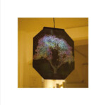 間の認識:木と私<br/>
渡邊 美穂 Miho Watanabe<br/>
大自然の偉大さは一目瞭然ですが、人間が植えた木々も度々私たちを驚かせてくれます。彼らはどこに植えられようと、生きるということを精一杯やっています。
感動したり、びっくりしたり、嬉しくなったり、悲しくなったり、元気づけられたり。木から何かを感じ、そして私の感情が木に反射する。
木と私との間には何があるのか?「間の認識」は、このような「間」を表現した作品です。「間」は時空を超え、次元も超えているのかもしれません。