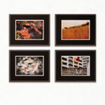 MIX ORANGE<br />
青木 由紀子 Yukiko Aoki<br />
CAMERA EYEで見つめる世界