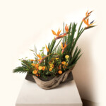 生気・精気<br />
阪上泰子 Sakaue Yasuko<br />