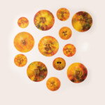 笑顔ウイルス<br />
鹿ろく shikaroku<br />