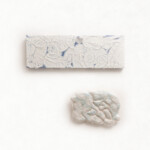 kunemokoma<br />
岡本 知倫 Chirin Okamoto<br />