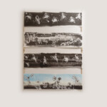 春ひらく陽<br />
小林 真心 Shinshin Kobayashi<br />White展にあたり恩師(書家)を思い出します。白場(紙)が輝くこと、と。13才の私には何のことやらサッパリ。マチスやゴッホの話、印や硯(石)の話の中に共通した「大事な何かがある」と感じ聞いていた時間が蘇りつつ描きました。